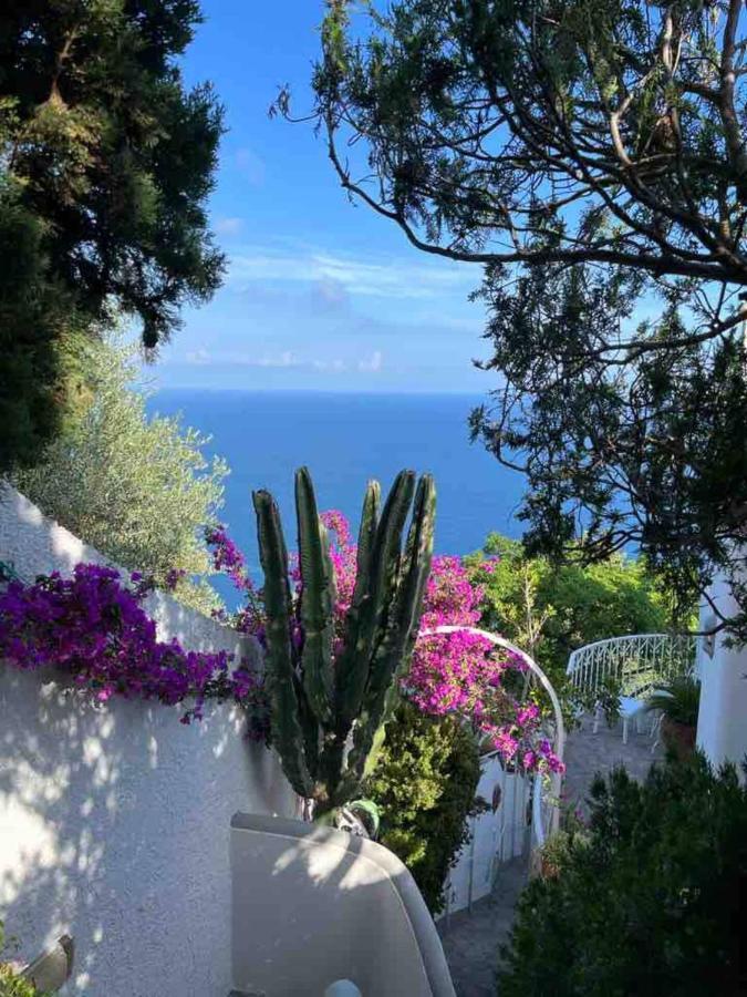 Casa Reverie - Amalfi Coast Villa Praiano Eksteriør billede