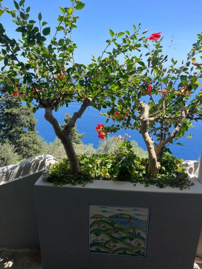 Casa Reverie - Amalfi Coast Villa Praiano Eksteriør billede