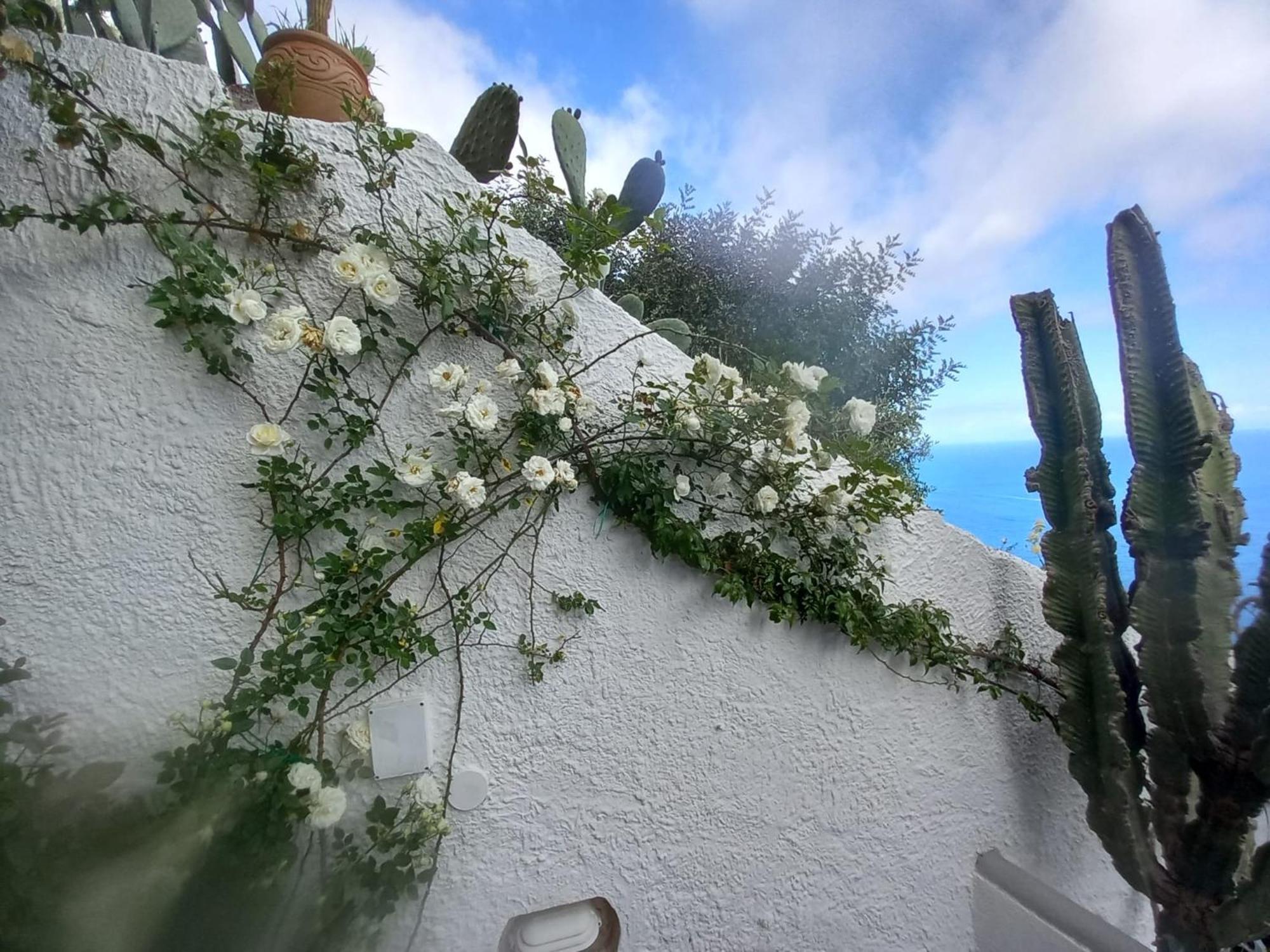 Casa Reverie - Amalfi Coast Villa Praiano Eksteriør billede